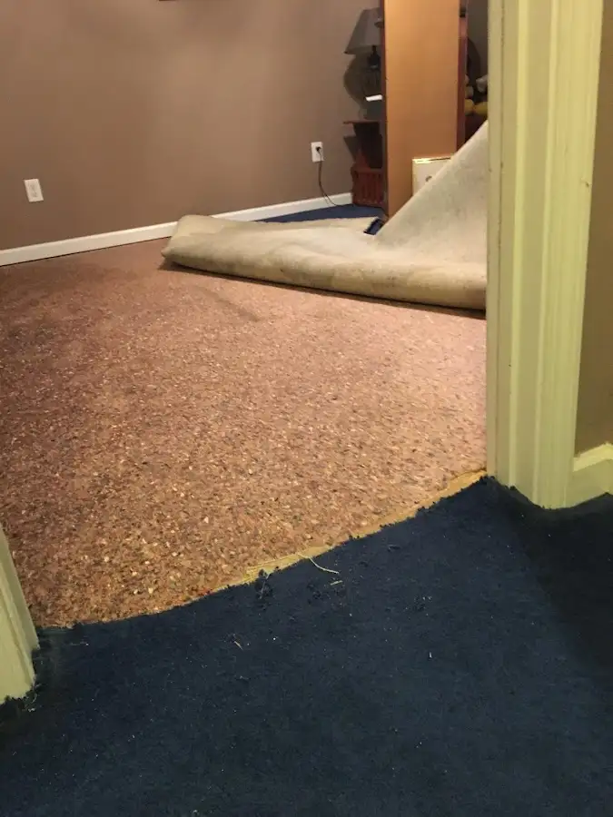 Carpet pad removal revealing water damage during Drying & Dehumidification in Tellico Village