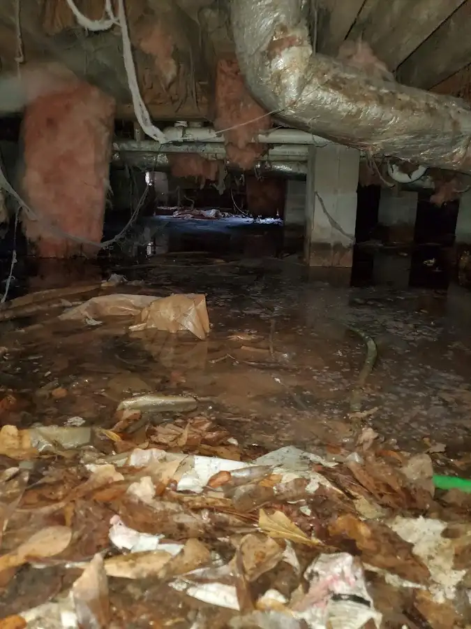 Crawl space flood assessment for Leak Detection & Repair in Tellico Village