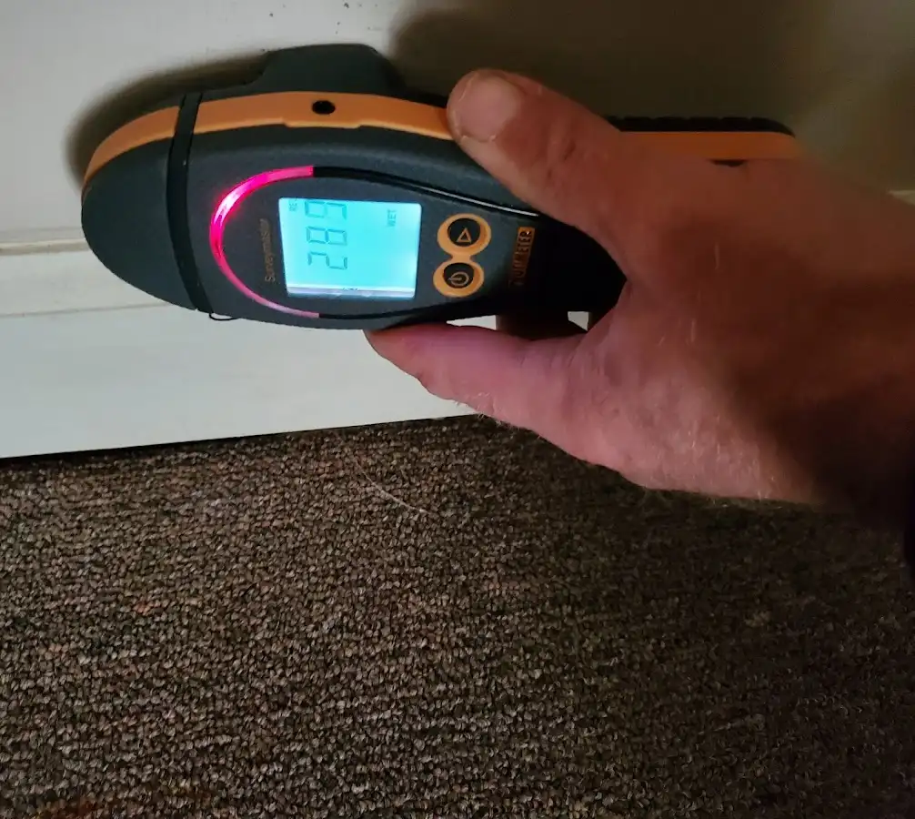 Moisture detection at baseboard during Mold Inspection & Testing in Tellico Village